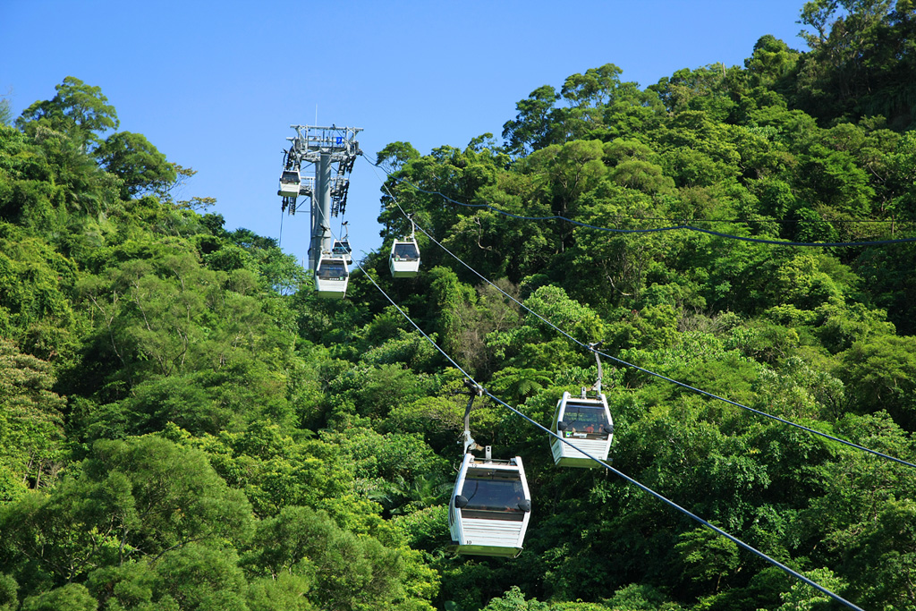 貓空纜車及茶園