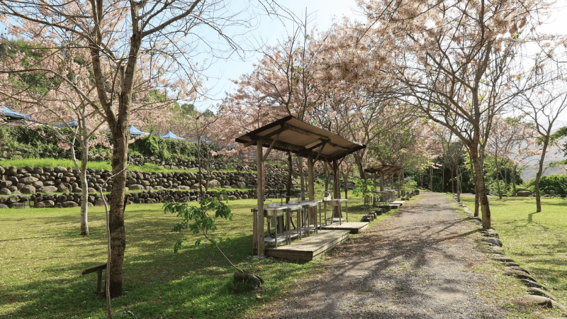 寶來花賞溫泉公園