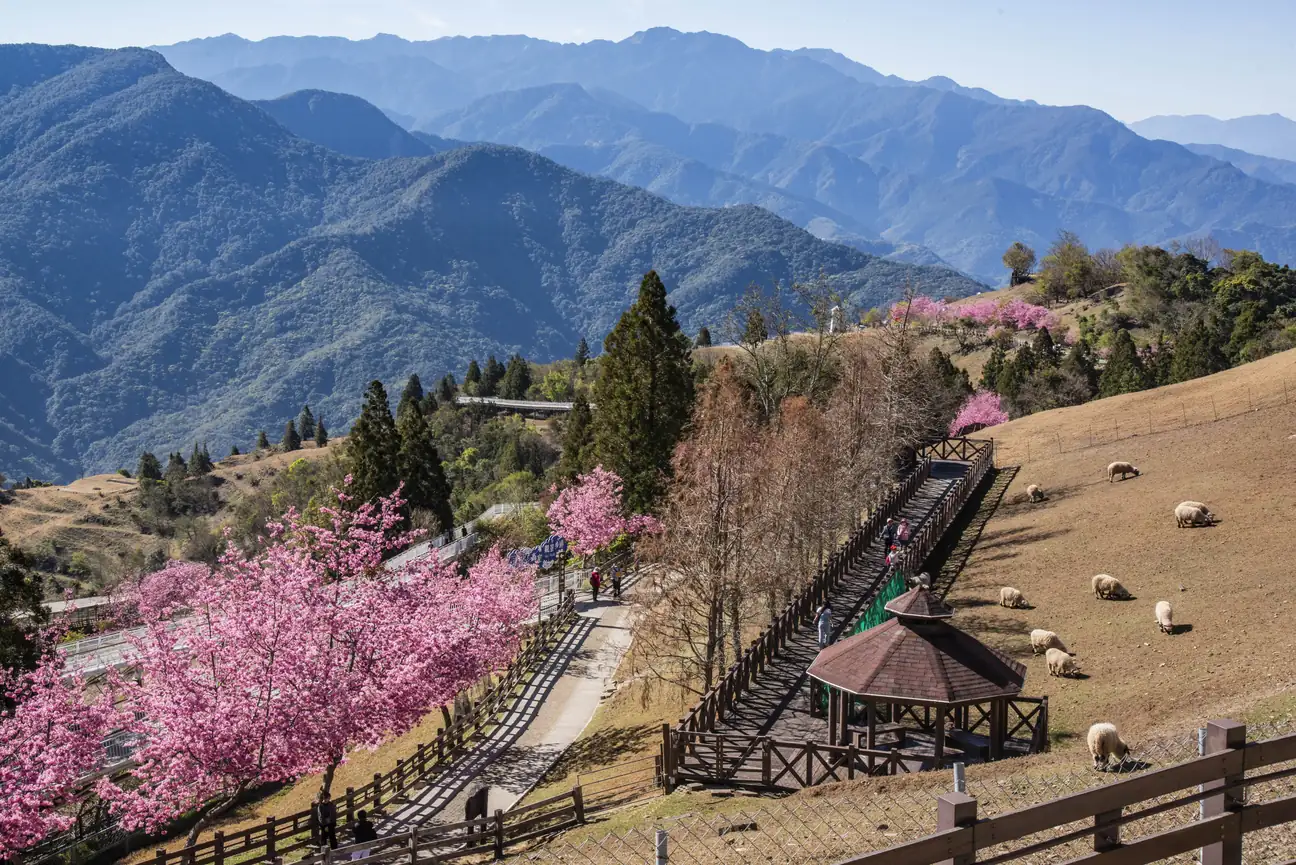 Spring Mountain Scenery - Best Time to Visit Taiwan
