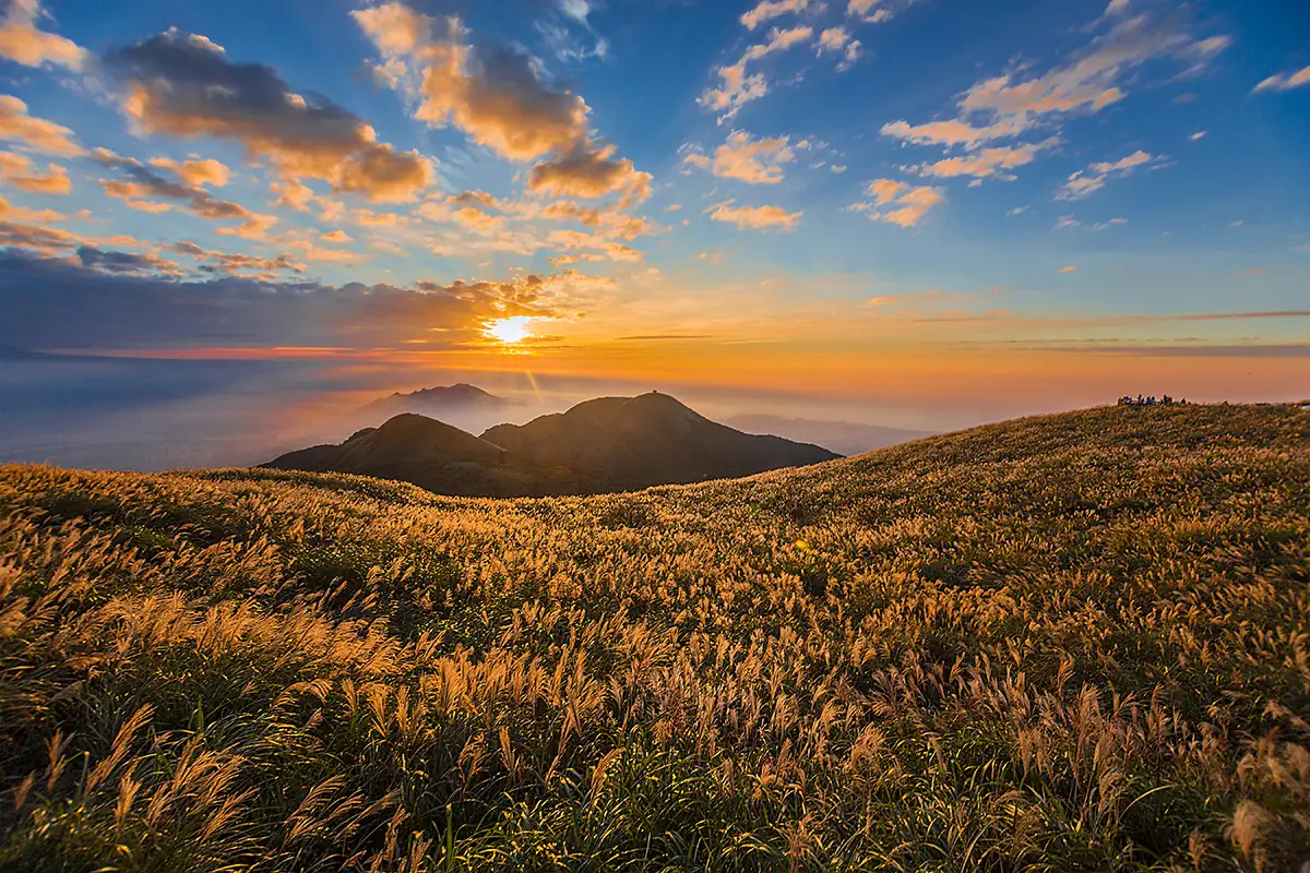 Yangmingshan Silver Grass (Autumn) - Best Time to Visit Taiwan